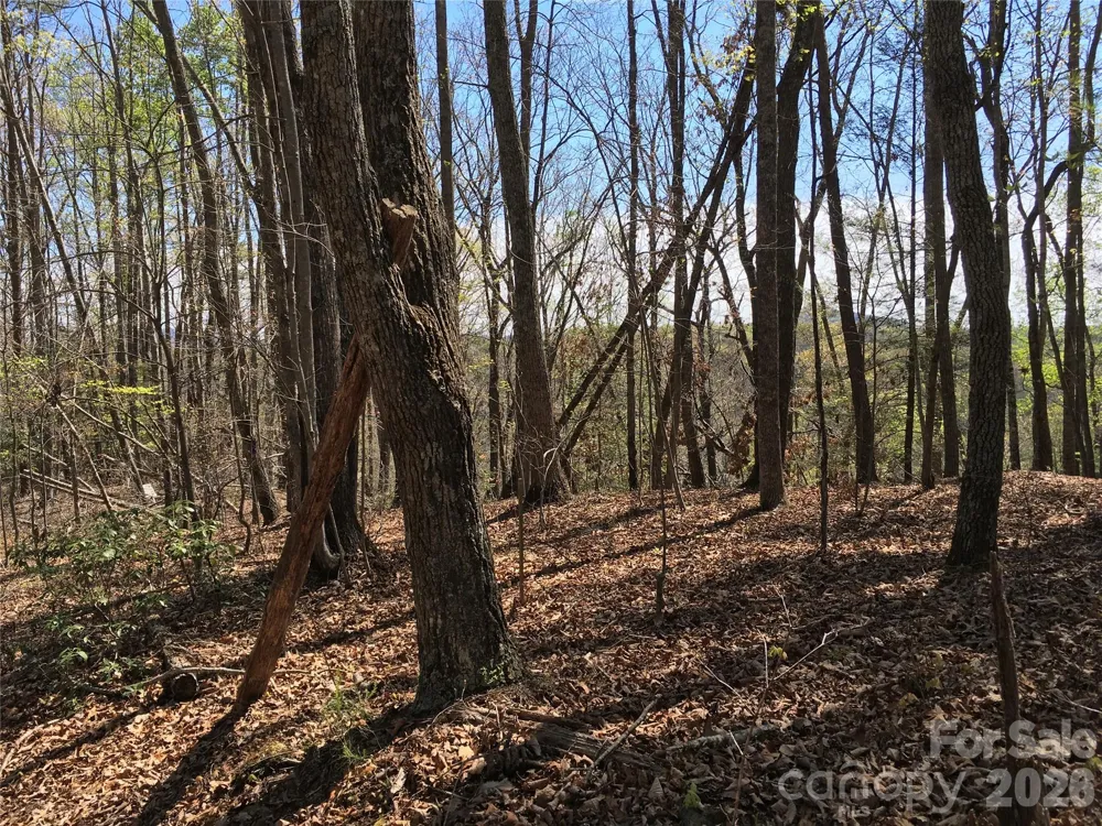 00 Lytle Mountain Road Marion, NC 28752