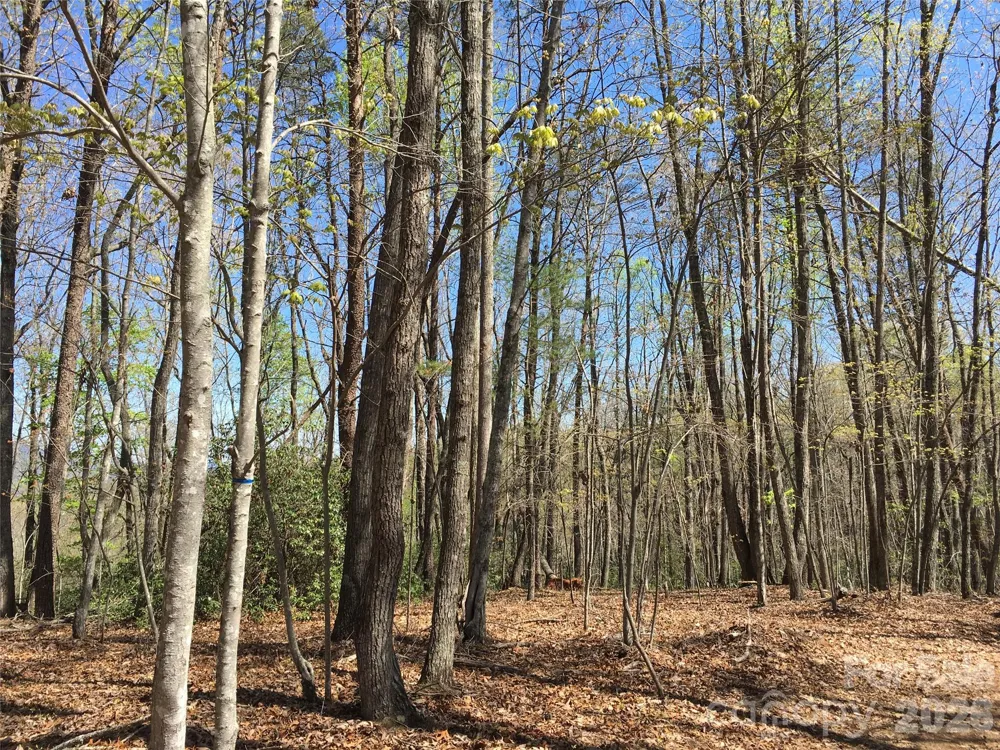 00 Lytle Mountain Road Marion, NC 28752