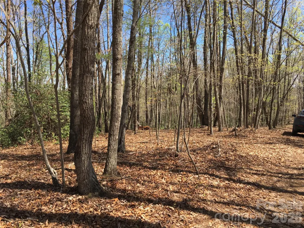 00 Lytle Mountain Road Marion, NC 28752