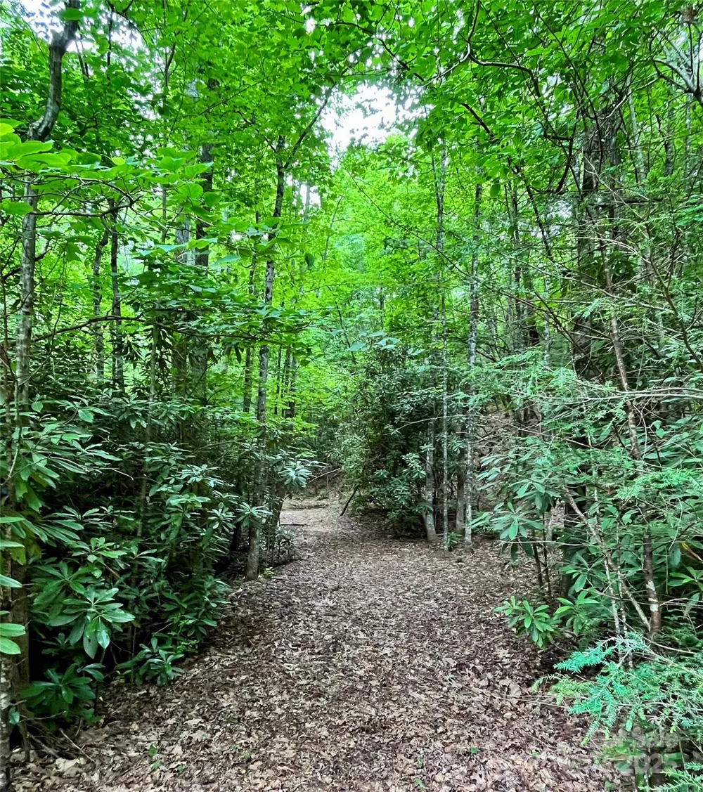 999 Old Spring Road Brevard, NC 28712