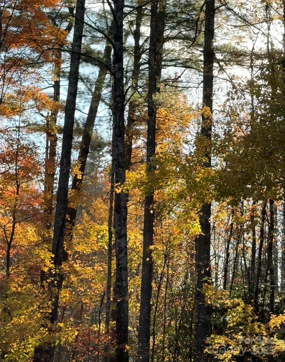 999 Old Spring Road Brevard, NC 28712