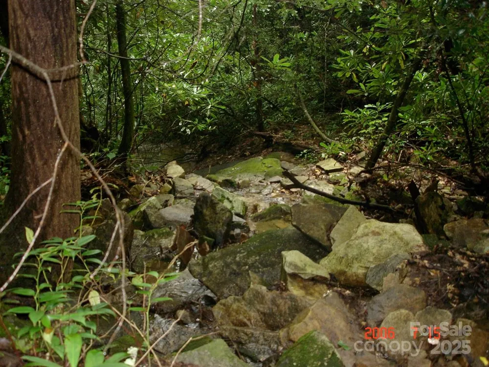 999 Old Spring Road Brevard, NC 28712
