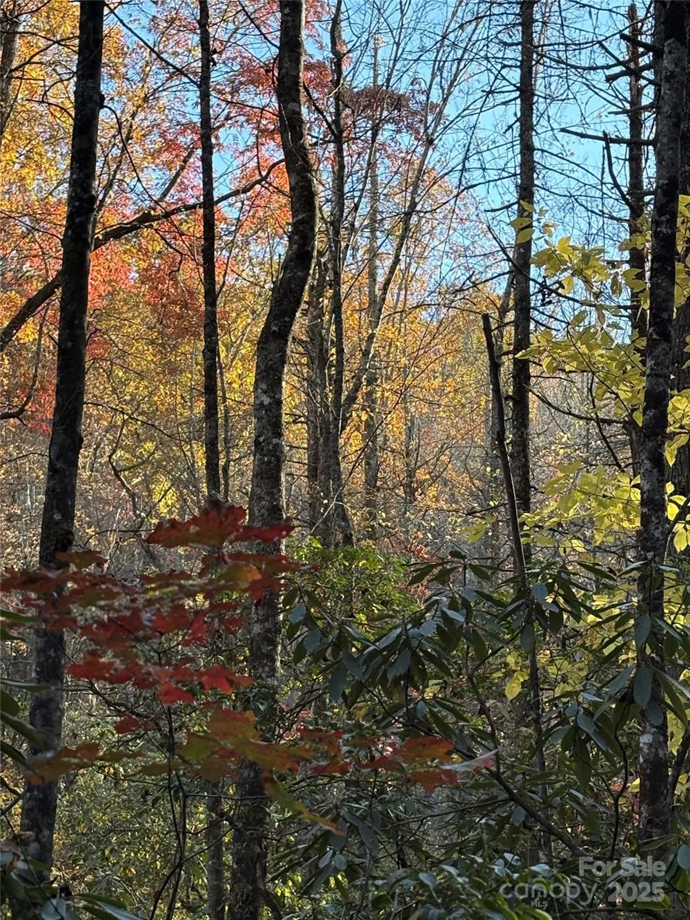 999 Old Spring Road Brevard, NC 28712