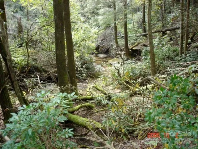 999 Old Spring Road Brevard, NC 28712