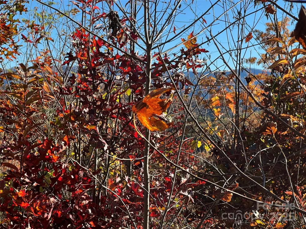 Lot 66 Musket Drive Almond, NC 28702