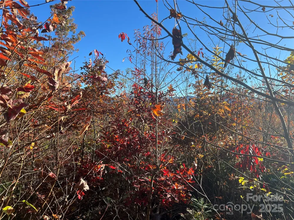 Lot 66 Musket Drive Almond, NC 28702
