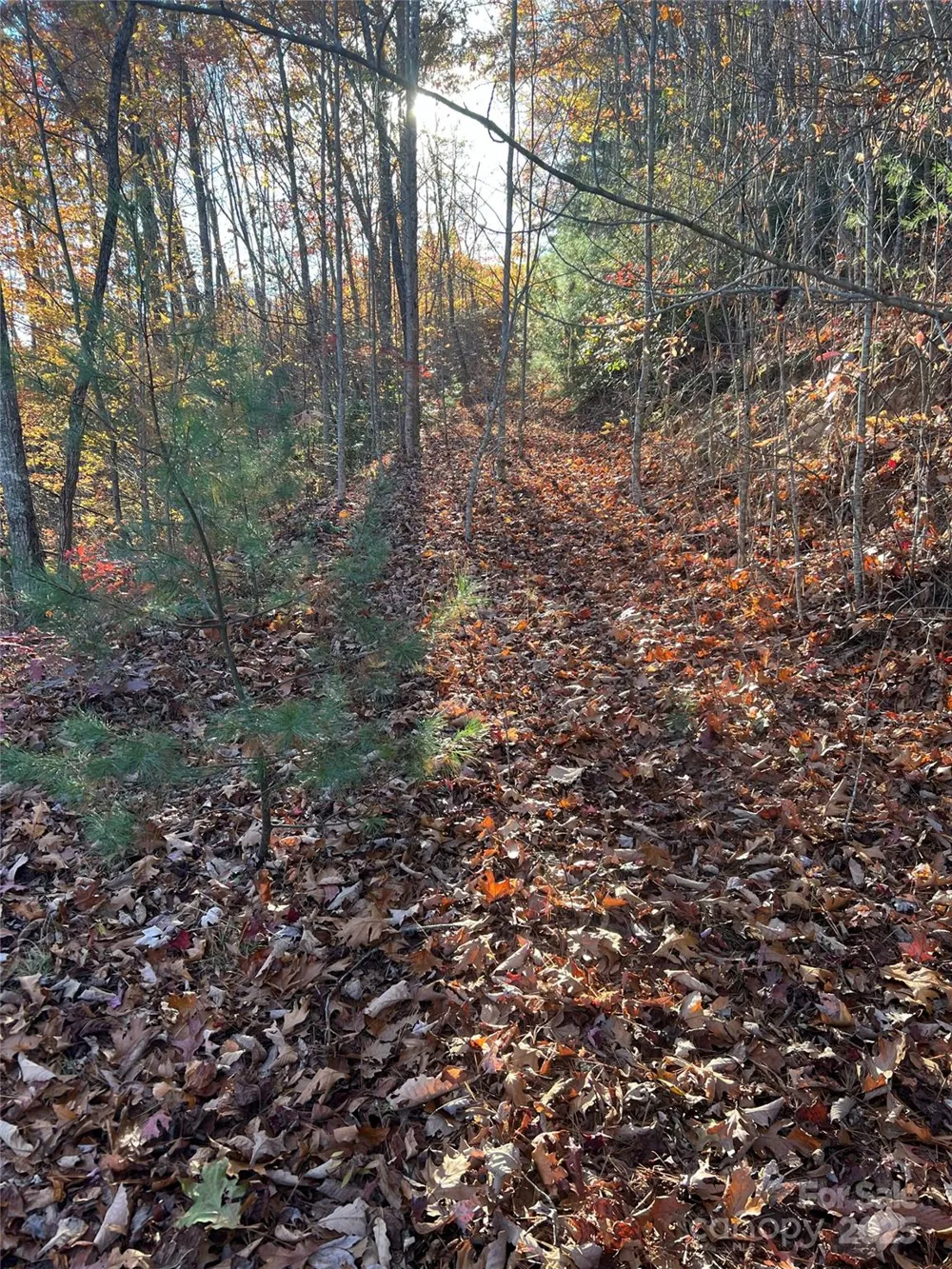 Lot 66 Musket Drive Almond, NC 28702
