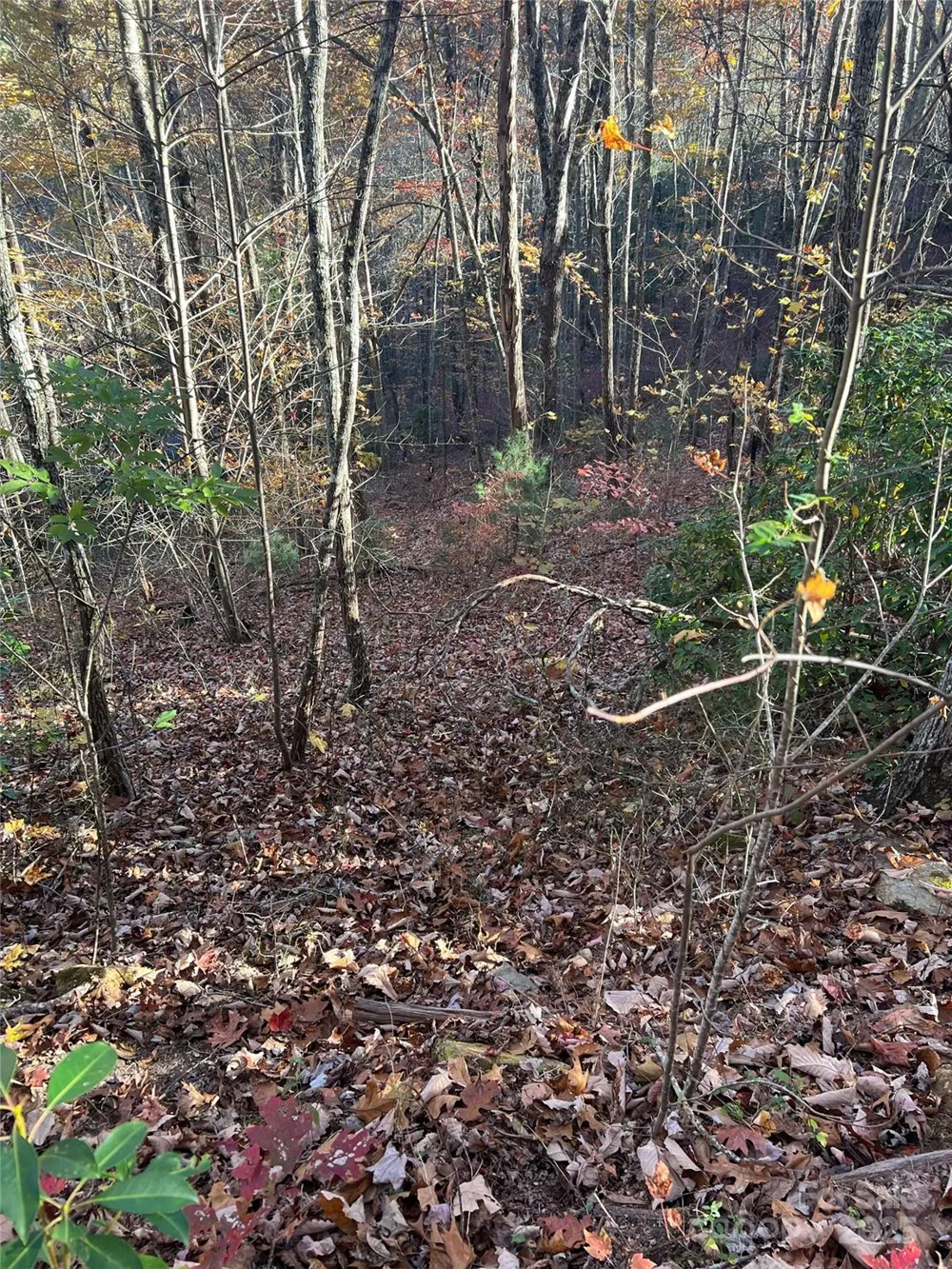 Lot 66 Musket Drive Almond, NC 28702