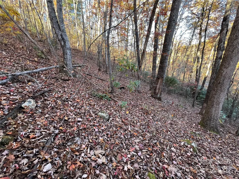 Lot 66 Musket Drive Almond, NC 28702