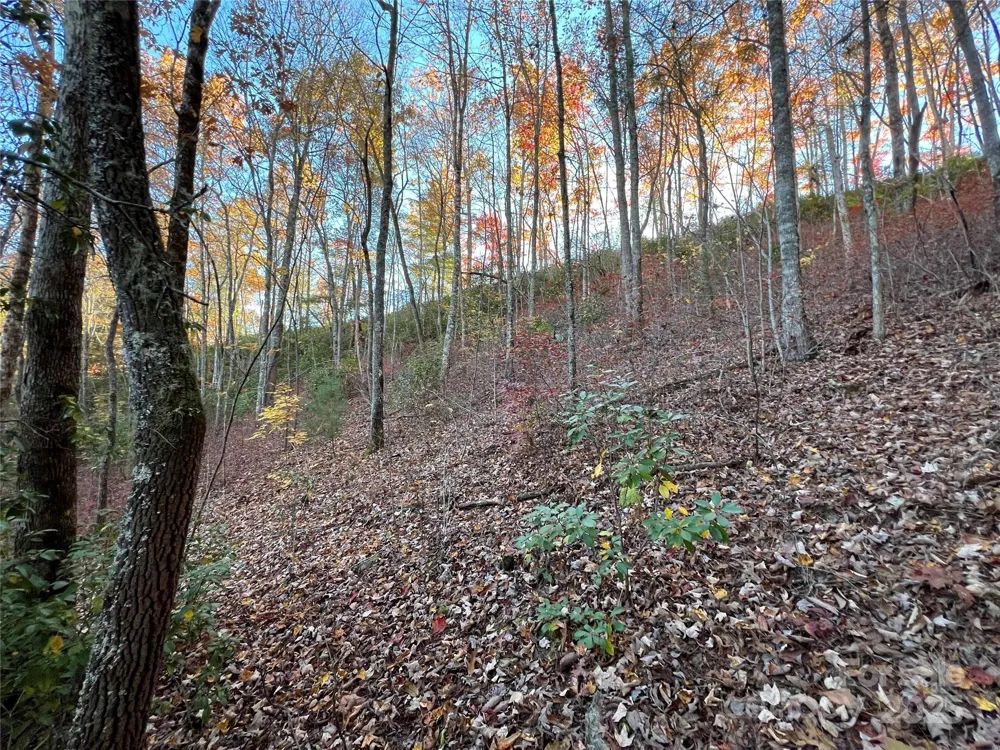 Lot 66 Musket Drive Almond, NC 28702