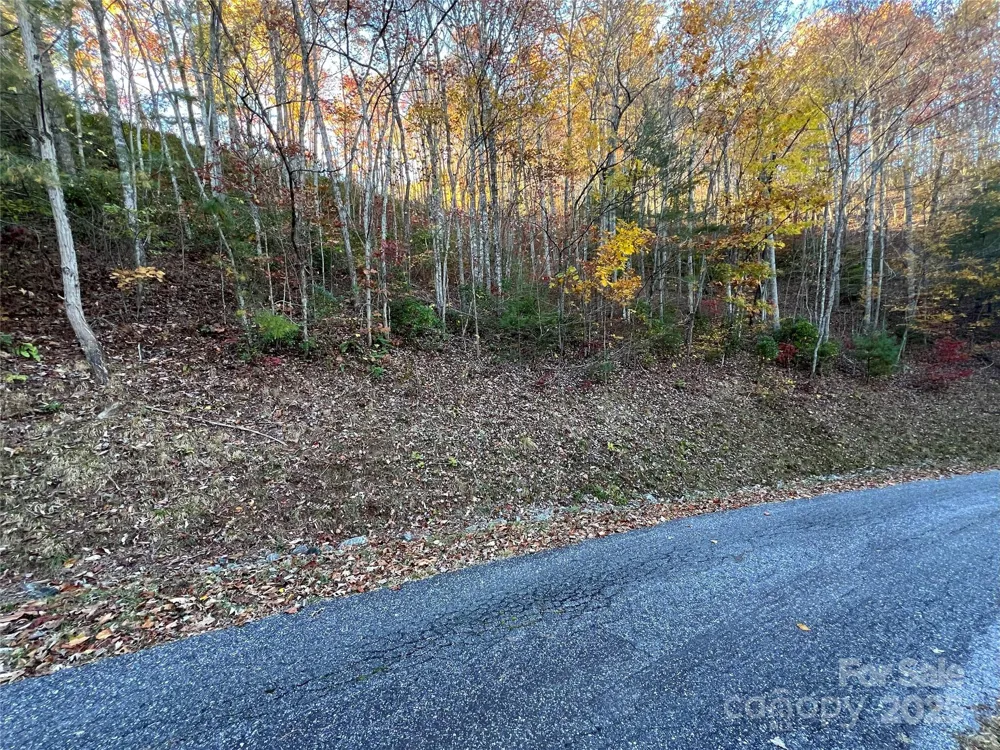 Lot 66 Musket Drive Almond, NC 28702
