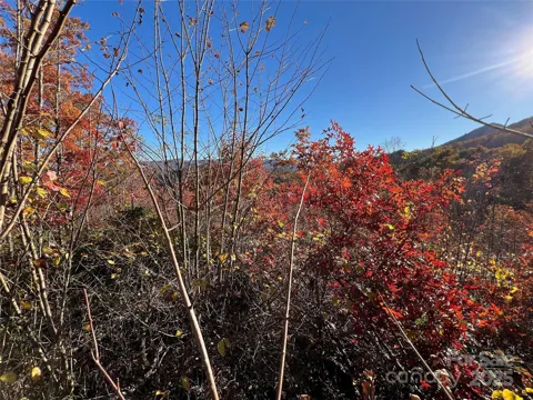 Lot 66 Musket Drive