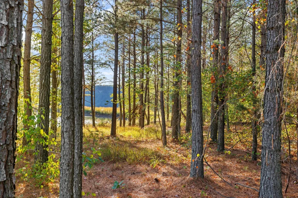 0 Raulston Falls Road Jasper, TN 37347