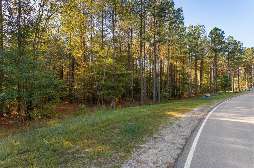 0 Raulston Falls Road Jasper, TN 37347