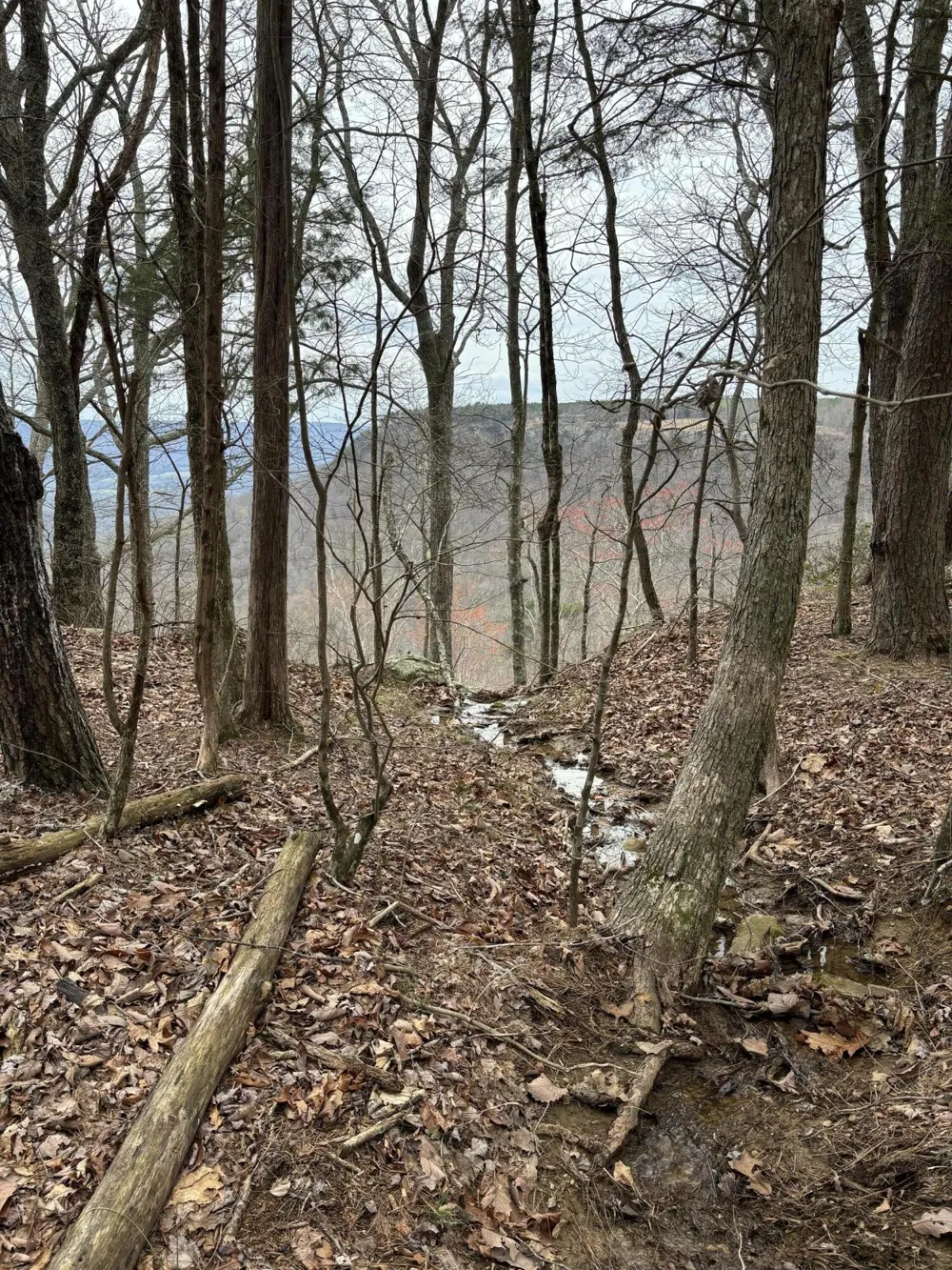 0 Raulston Falls Road Jasper, TN 37347