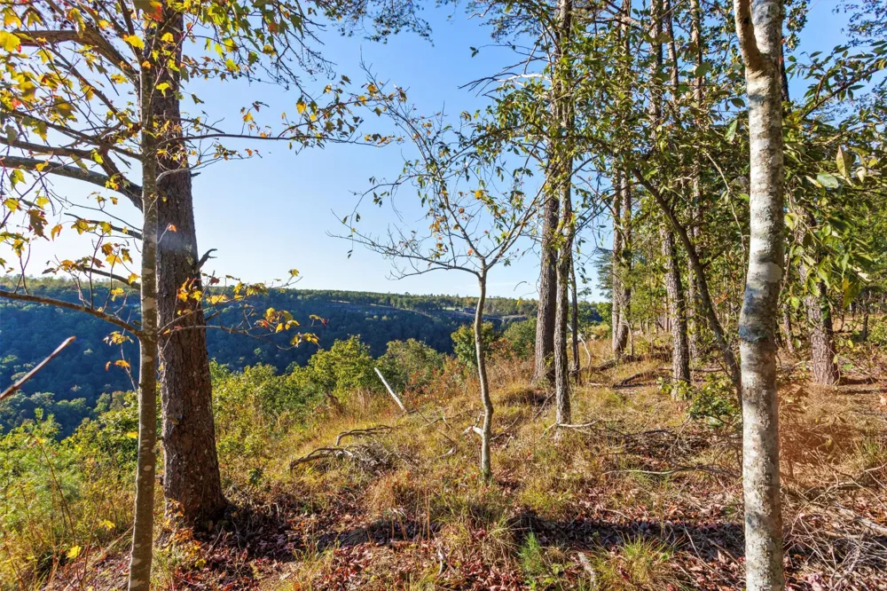 0 Raulston Falls Road Jasper, TN 37347