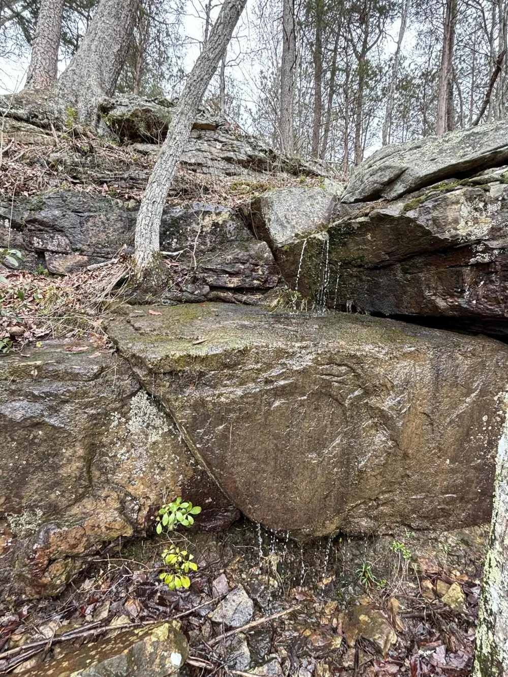 0 Raulston Falls Road Jasper, TN 37347