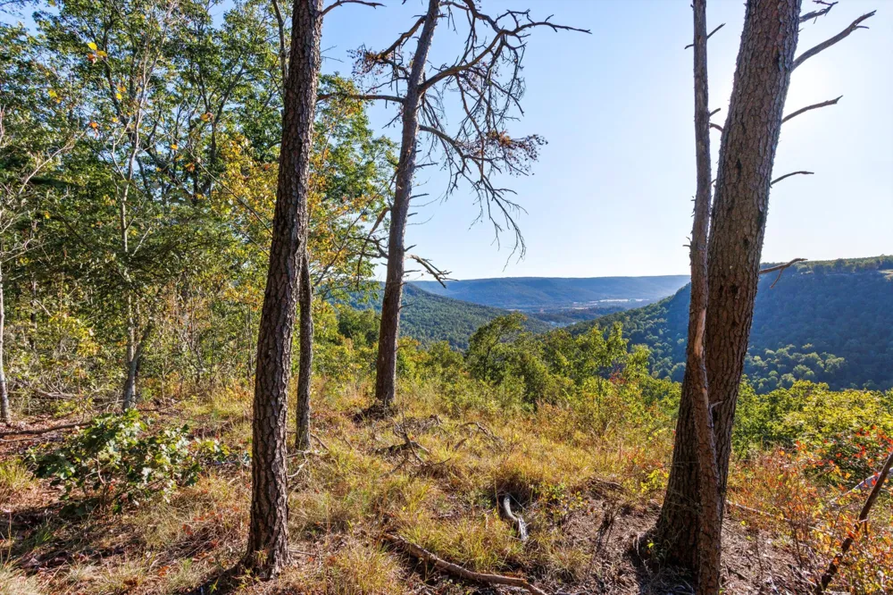 0 Raulston Falls Road Jasper, TN 37347