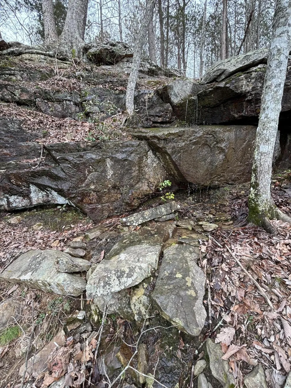 0 Raulston Falls Road Jasper, TN 37347