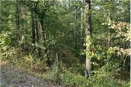 0 Oak Hill Road Lyles, TN 37098