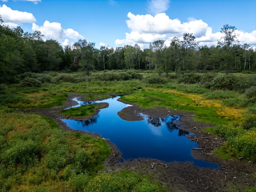 48029 110th Place Tamarack, MN 55787