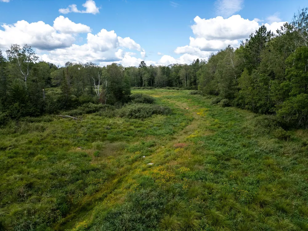 48029 110th Place Tamarack, MN 55787