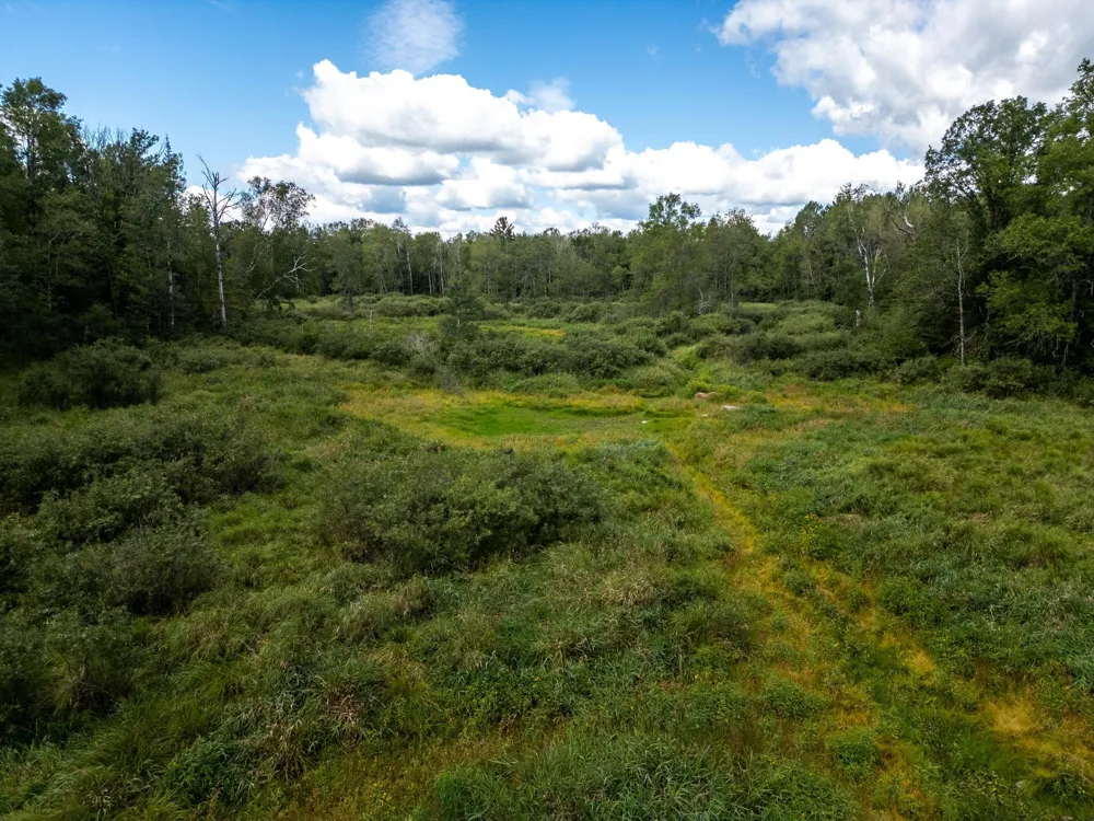 48029 110th Place Tamarack, MN 55787