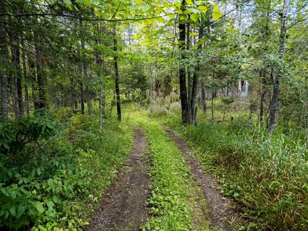 48029 110th Place Tamarack, MN 55787