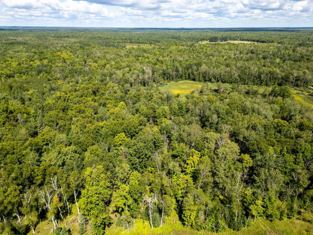 48029 110th Place Tamarack, MN 55787