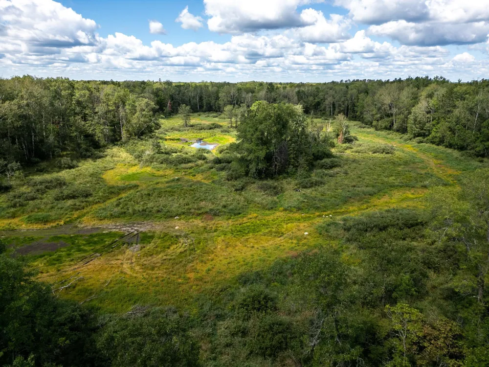 48029 110th Place Tamarack, MN 55787