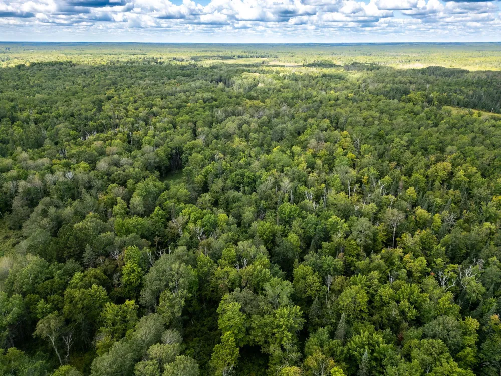 48029 110th Place Tamarack, MN 55787