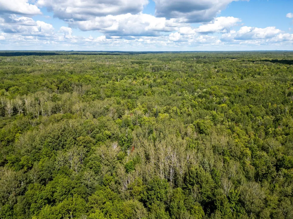 48029 110th Place Tamarack, MN 55787