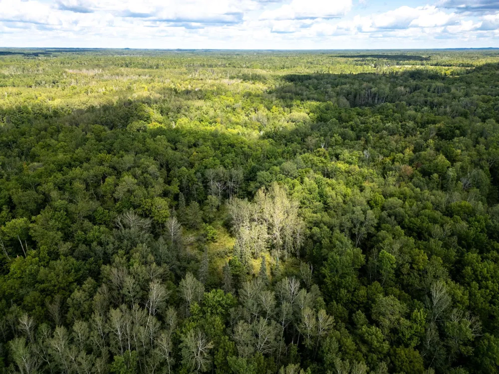 48029 110th Place Tamarack, MN 55787