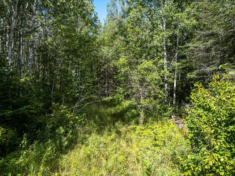 48029 110th Place Tamarack, MN 55787