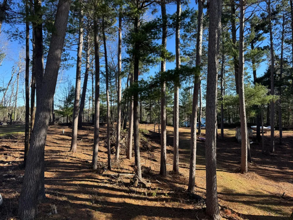 12745 Ecton Trail Bagley, MN 56621
