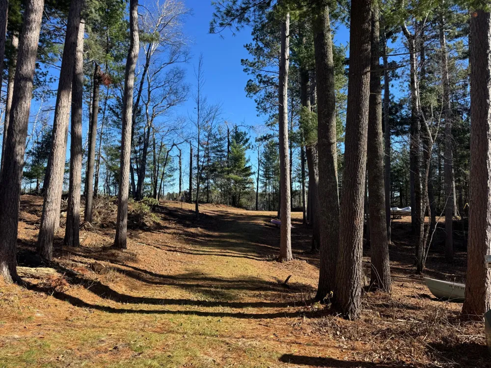 12745 Ecton Trail Bagley, MN 56621