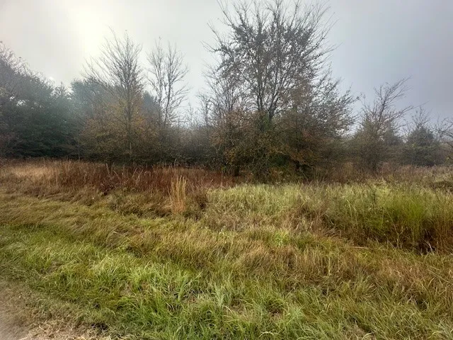527 Tahiti Lane Tool, TX 75143