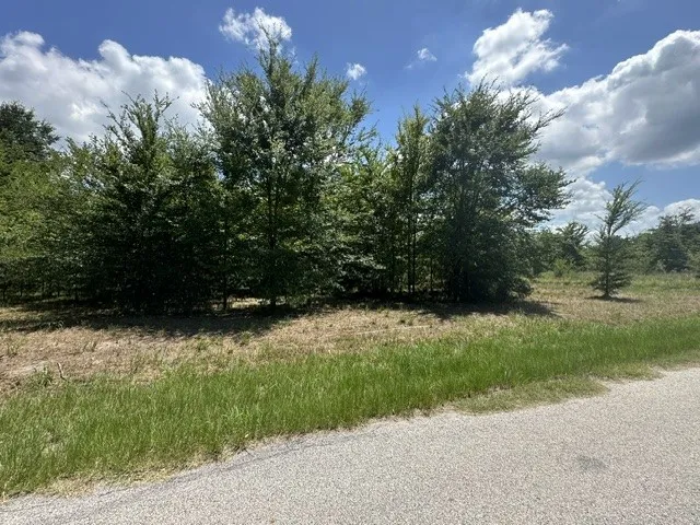527 Tahiti Lane Tool, TX 75143