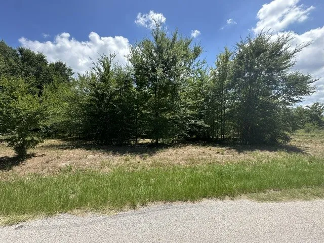 527 Tahiti Lane Tool, TX 75143