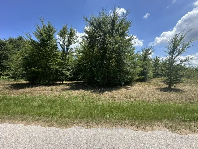 527 Tahiti Lane Tool, TX 75143