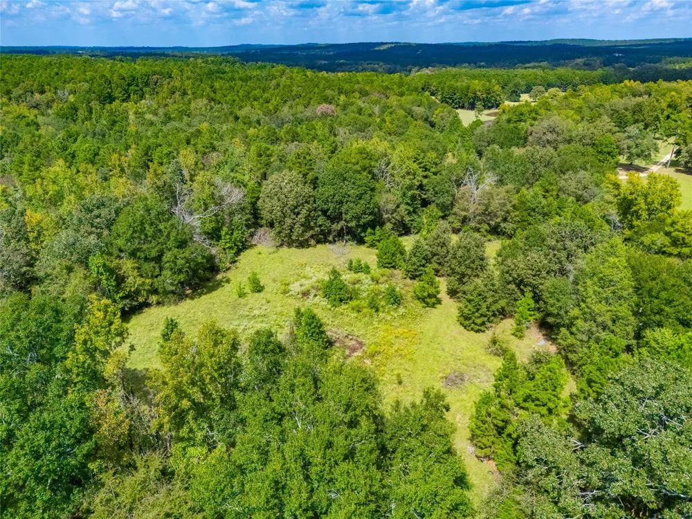 14799 FM 315 Palestine, TX 75803