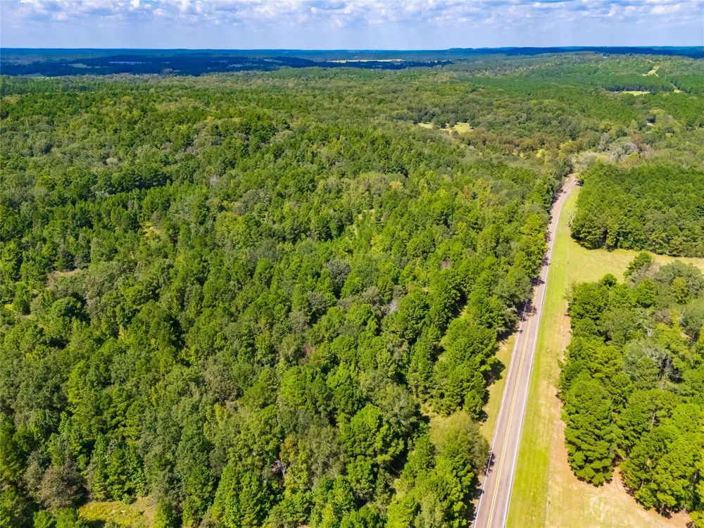14799 FM 315 Palestine, TX 75803
