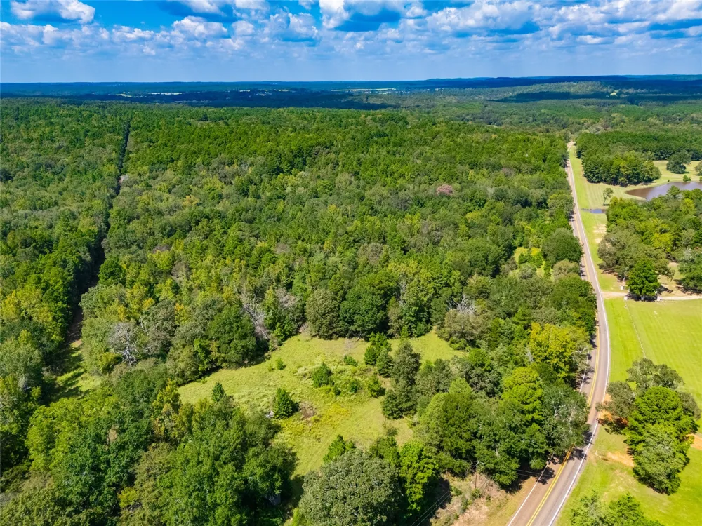 14799 FM 315 Palestine, TX 75803