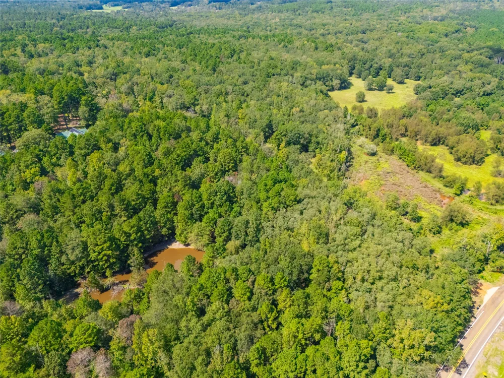 14799 FM 315 Palestine, TX 75803