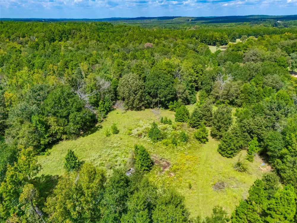 14799 FM 315 Palestine, TX 75803