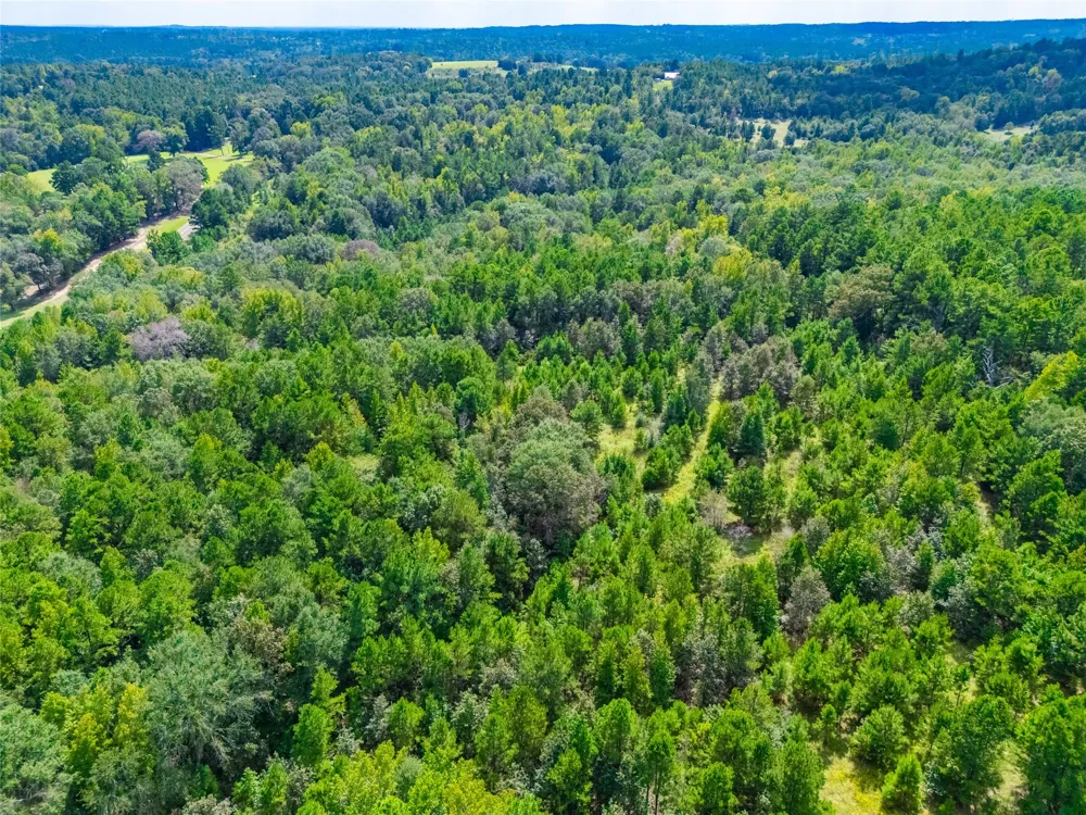 14799 FM 315 Palestine, TX 75803