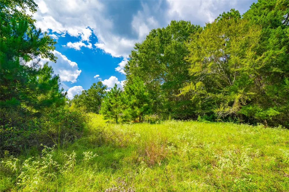 14799 FM 315 Palestine, TX 75803