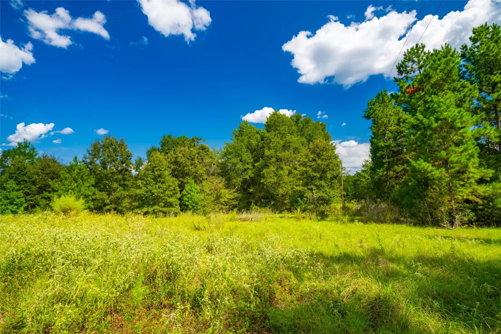 14799 FM 315 Palestine, TX 75803