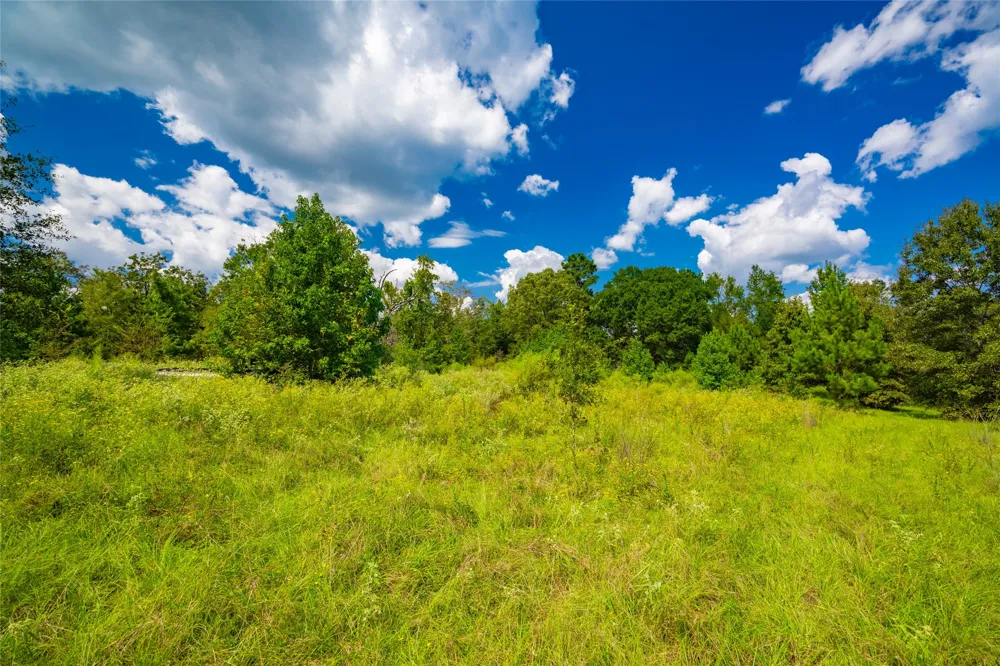 14799 FM 315 Palestine, TX 75803