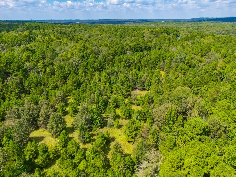 14799 FM 315 Palestine, TX 75803